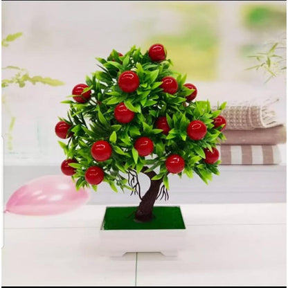 Beautiful Fruit Bonsai Tree for Home Decor - Apple Tree