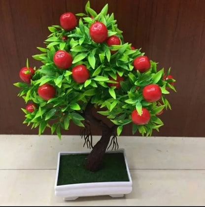 Beautiful Fruit Bonsai Tree for Home Decor - Apple Tree